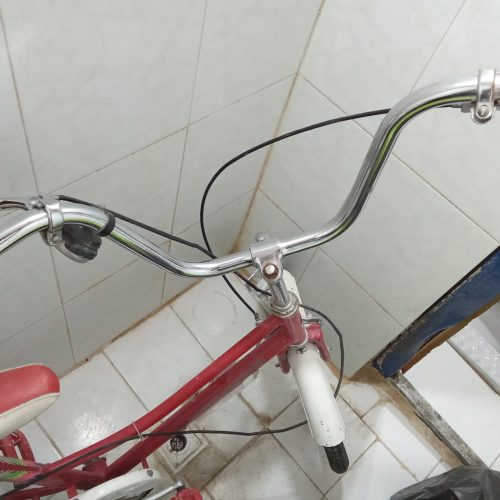 دوچرخه کلکسیونی