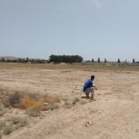 فروش زمین 500متری شاهنامه 69 آرامگاه فردوسی روستای ماریان