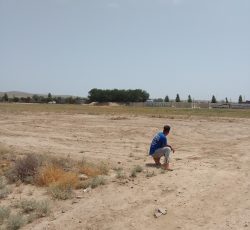 فروش زمین 500متری شاهنامه 69 آرامگاه فردوسی روستای ماریان