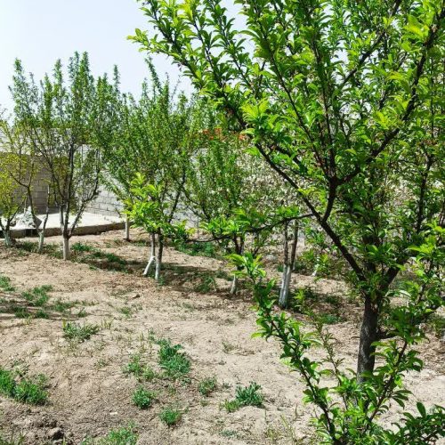 فروش رمین 230 متری