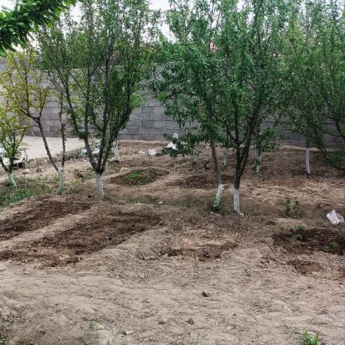 فروش رمین 230 متری