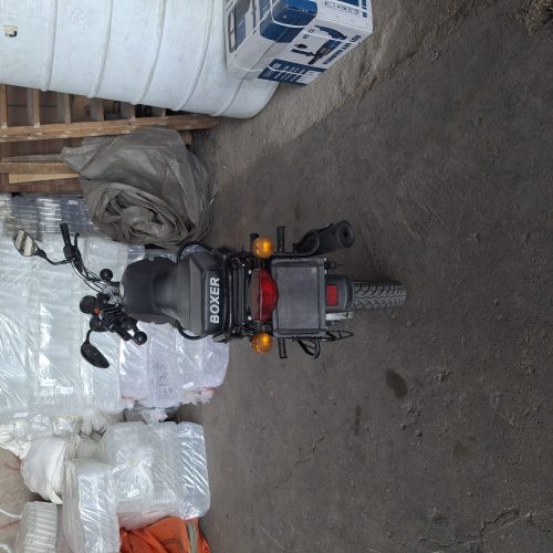 بوکسر اصلی98