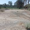 زمین فروشی 600متری در ایرانشهر محمد اباد