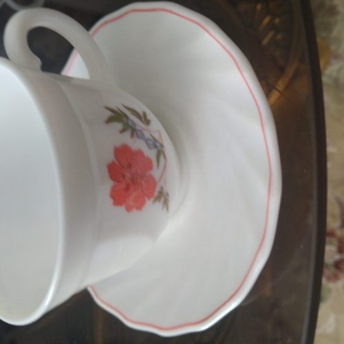 فنجان. ارکوپال دو دست