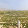 زمین کشاورزی دربهبهان