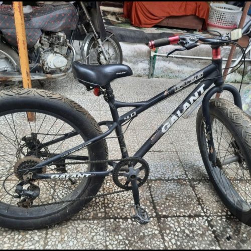 دوچرخه ساحلی