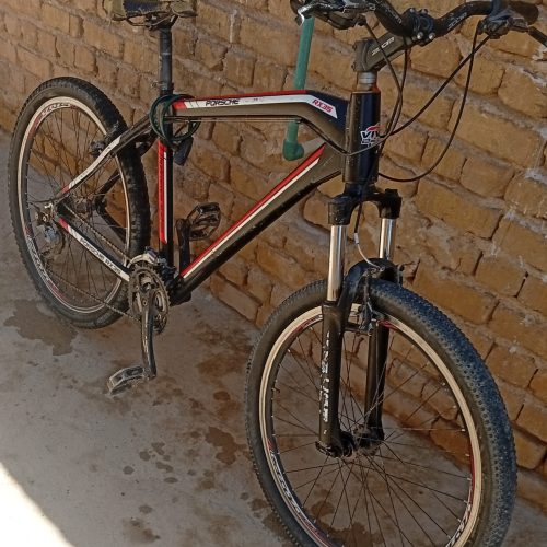 یک عدد دوچرخه