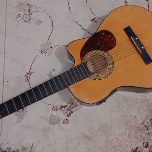 گیتار خاص و سفارشی Alfredo