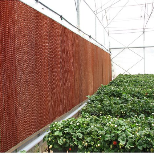 فروش پد سلولزی