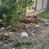 ساری بلوار کشاورز پایین دزا