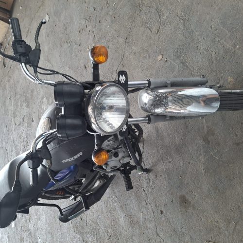 بوکسر اصلی98