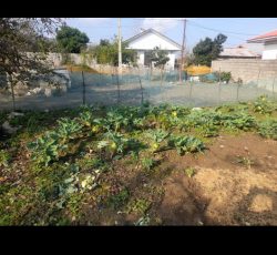 فروش دو قطعه زمین مسکونی به متراژ 335و416