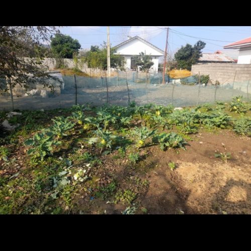 فروش دو قطعه زمین مسکونی به متراژ 335و416