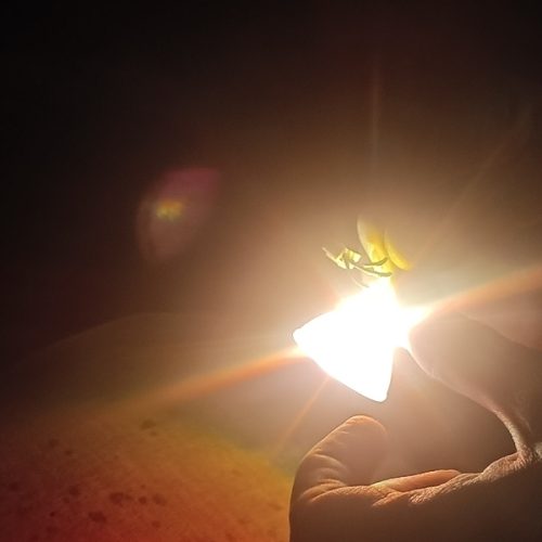 لامپ هالوژن