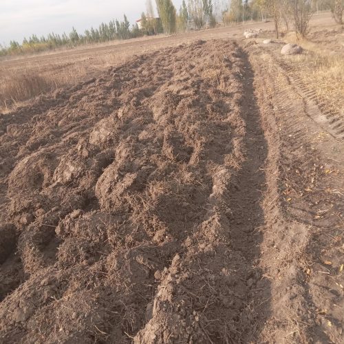 یک قطعه زمین روستای گرجان 200متر