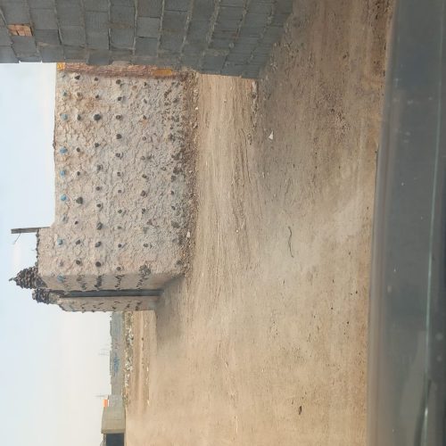 باغ با سلیقه در باغمعروف