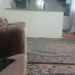خانه اجاره ای دوطبقه