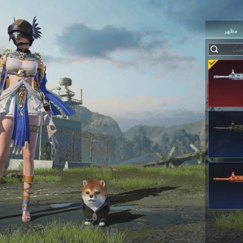 اکانت پابجی لول71