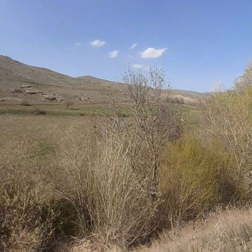 فروش زمین باغی برخیابان اصلی