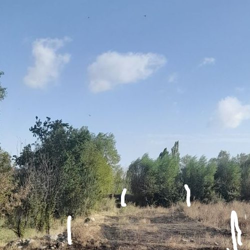 یک قطعه زمین روستای گرجان 200متر