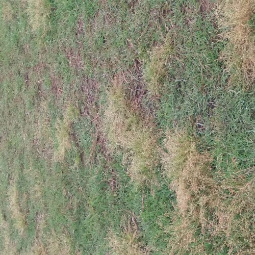 زمین  164 متری