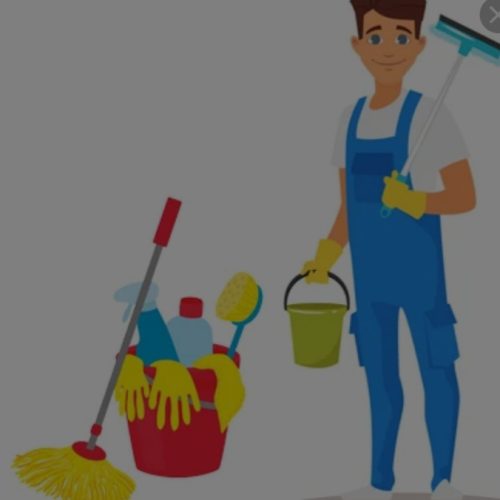 نظافت منزل
