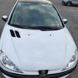 206 تیپ 3 پانورما 401