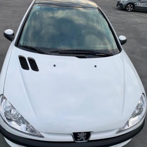 206 تیپ 3 پانورما 401