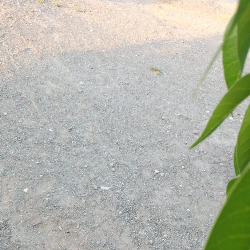 فروش فوری زمین مسکونی که قطعه بندی شدن زمین‌های مهرغون برای شهرک سازی ودر آغاز شهرک‌سازی همه زمین‌ها دارای وام هستن.