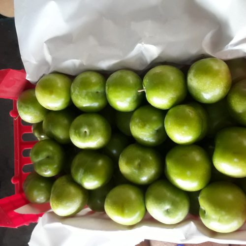 میوه های لوکس سردرختی