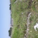 یک قطعه زمین ساحلی