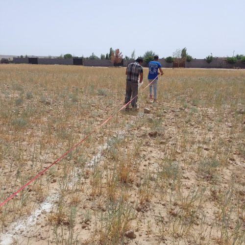 فروش زمین 500متری شاهنامه 69 آرامگاه فردوسی روستای ماریان