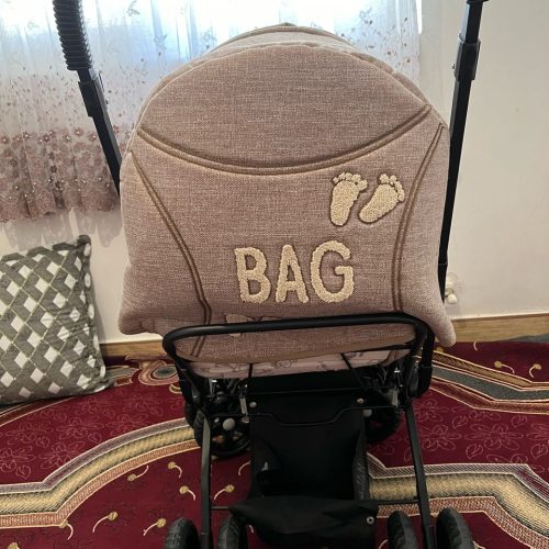 کالسکه دلیجان