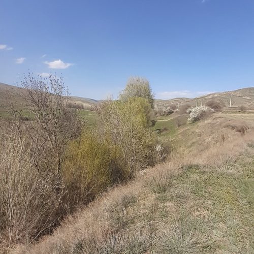 فروش زمین باغی برخیابان اصلی