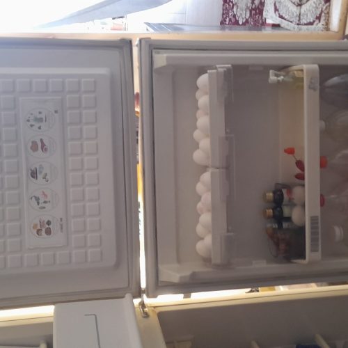 یخچال فیلور