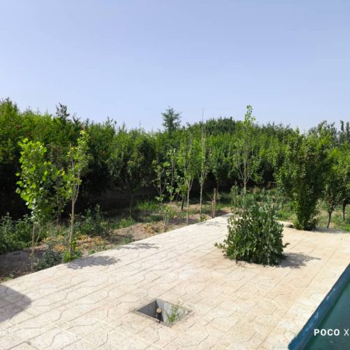 هزارمترباغ