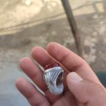 یک عدد انگشتر حقیق