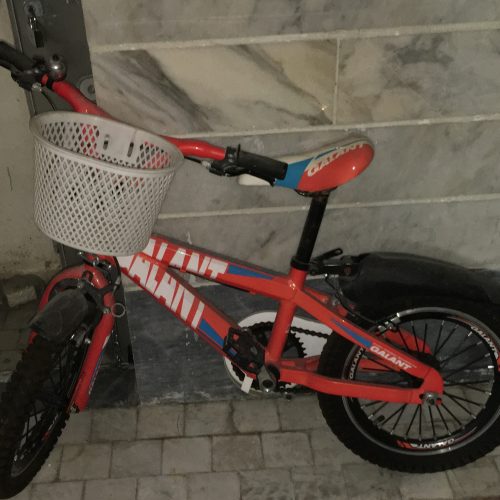 دوچرخه گالانت