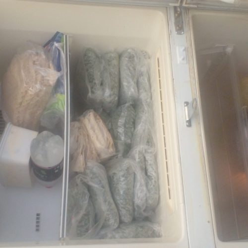 یخچال فریزر