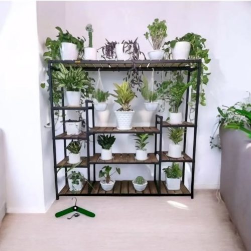 رگال وقفسه قربانی با بهترین کیفیت