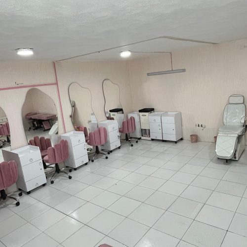 استخدام نیرو ناخن کار اصلاح کار  کراتین کار شنیون کار فردائم مو براشینگ  شنیون  رنگ کار (لایت مو) فیبروز