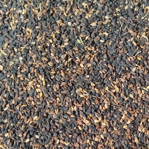 کنجد خام محلی