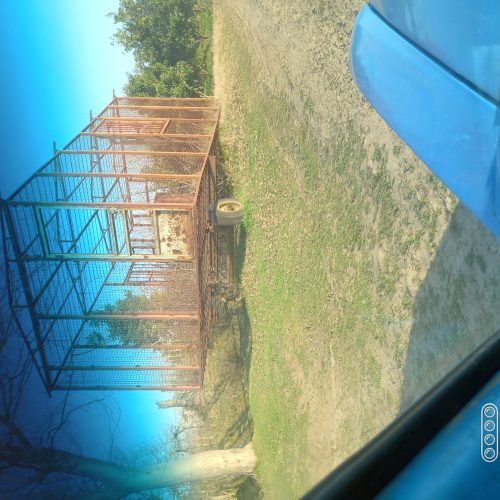 خونه پیش،ساخته