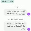 شستشوی استخر و جکوزی و اجرای بند کشی