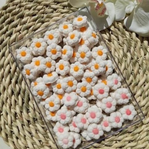 قندو نبات فانتزی