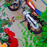 موتور کویر 200