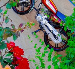 موتور کویر 200