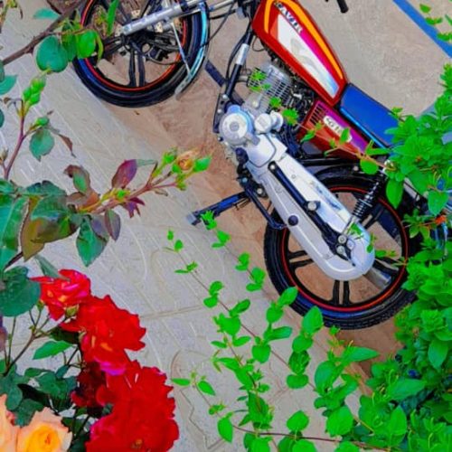 موتور کویر 200