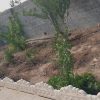 فروش زمین در شریف آباد