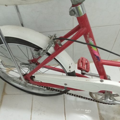 دوچرخه کلکسیونی